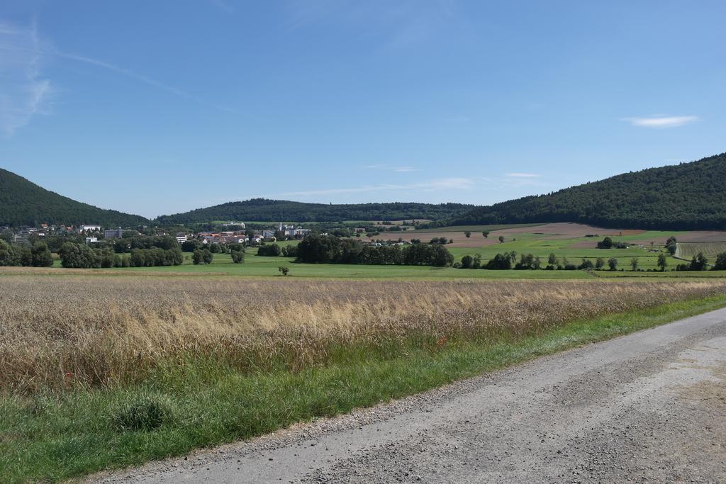 Apartment Wagener's Hof Bad Wildungen